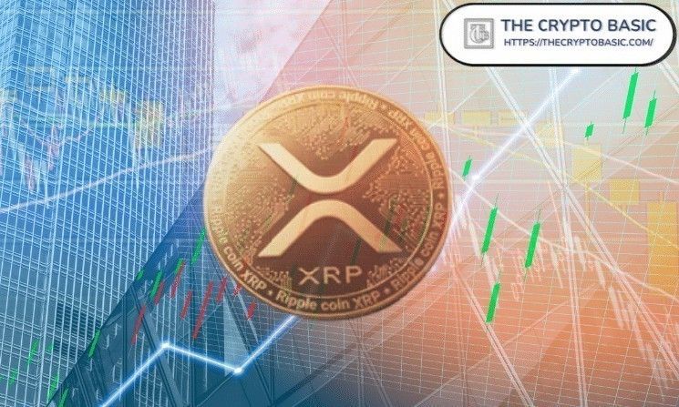 هدف XRP الكلي 50 دولاراً مع تأكيد المحلل استمرار الموجة الصاعدة