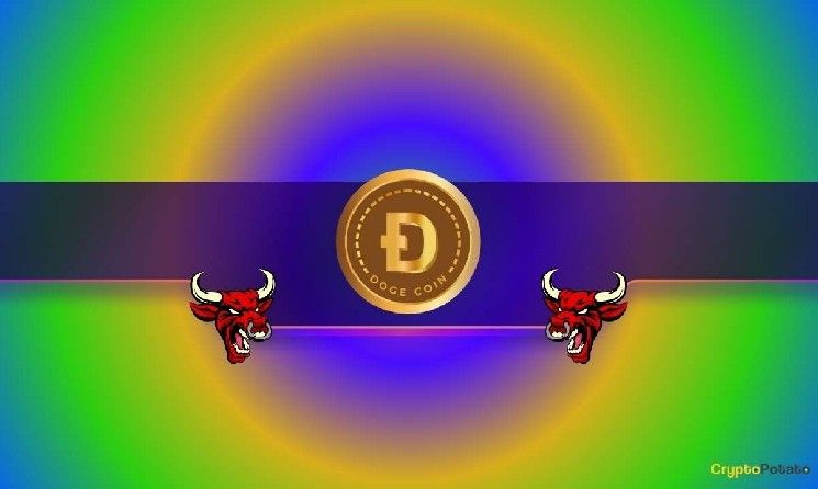 سعر الدوجكوين تضاعف آخر مرة في ظل هذه الظروف... فهل نحن على أعتاب انفجار سعري جديد؟