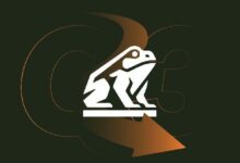 خزينة البيتكوين ناكاموتو تهوي 98% لكنها تظل تدفع لمصورها ديفيد بيلي بسخاء