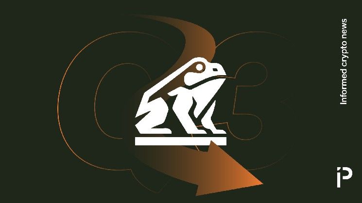 خزينة البيتكوين ناكاموتو تهوي 98% لكنها تظل تدفع لمصورها ديفيد بيلي بسخاء