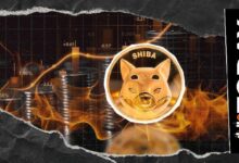 سعر شيبا إينو على حافة الهاوية مع ارتفاع حرق العملة 23,864%