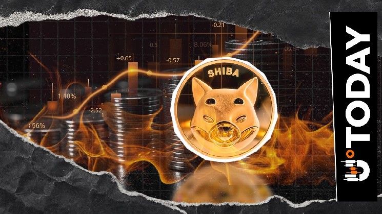 سعر شيبا إينو على حافة الهاوية مع ارتفاع حرق العملة 23,864%