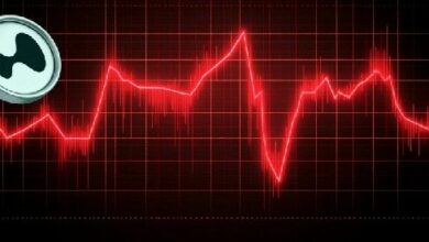 سوق Hyperliquid يشهد تصحيحاً حاداً يتجاوز 12% بعد فترة ذروة الشراء