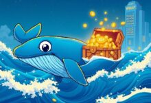 تحويل مذهل لـ 94 مليون XRP: حوت يشعل حمى السوق بنقل 217 مليون دولار إلى بينانس