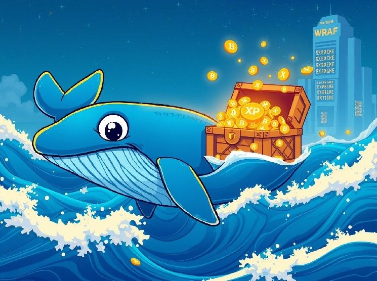 تحويل مذهل لـ 94 مليون XRP: حوت يشعل حمى السوق بنقل 217 مليون دولار إلى بينانس