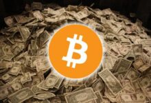 البيتكوين يحافظ على 102 ألف دولار.. وتراجع لـ"سولانا" و"ريبل" و"دوجكوين" مع تدقيق تقييمات الذكاء الاصطناعي