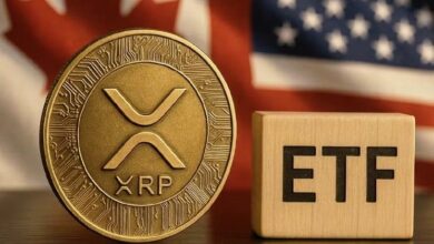أخبار صناديق البيتكوين المتداولة لا تتوقف: إطلاق صناديق XRP وعملة أخرى مشفرة قد يكون قريبًا!