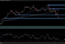 تحليل سعر البيتكوين: ما المصير المنتظر لـ BTC بعد الهبوط إلى 94 ألف دولار؟