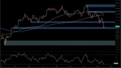 تحليل سعر البيتكوين: ما المصير المنتظر لـ BTC بعد الهبوط إلى 94 ألف دولار؟