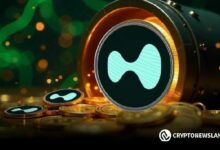 هايبر ليكويد (HYPE) تحافظ على زخمها بينما يختبر السعر مقاومة 49 دولاراً