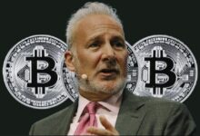 بيتر شيف: إنقاذ البيتكوين يتطلب تدخلاً حكومياً غير مرجح