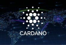 إطلاق إطار تصويت كامل على سلسلة كاردانو