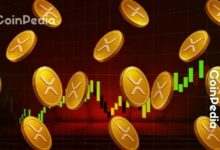 رئيس تيوكريوم: الطفرة القادمة لـ XRP تبدأ بـ "بنك ريبل"