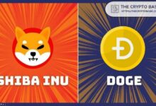 هذا سعر Shiba Inu إذا تحول جميع حاملي Dogecoin إلى SHIB... ولا يزال بعيدًا عن 0.01 دولار