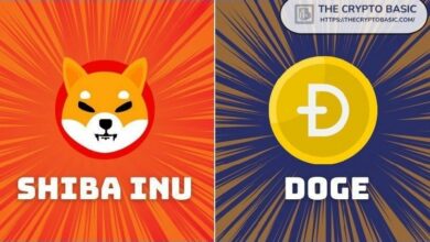 هذا سعر Shiba Inu إذا تحول جميع حاملي Dogecoin إلى SHIB... ولا يزال بعيدًا عن 0.01 دولار