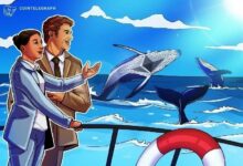 "الحوت المخضرم" الذي تنبأ بانهيار أكتوبر يضع صفقة شراء على الإيثيريوم بقيمة 44.5 مليون دولار