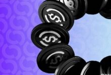 سيركل تحدّد شروط الخدمة للسماح بشراء الأسلحة النارية 'القانونية' باستخدام USDC