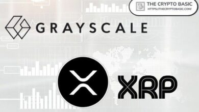 غري سكيل تصف XRP كأداة فائدة واقعية ملموسة