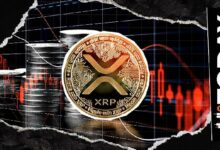 أكبر بورصة عملات رقمية تعلن نفاد مخزونها من XRP.. فماذا حدث بعدها؟