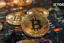 محافظ جالاكسي تشهد تدفقات خارجة حادة مع انهيار البيتكوين دون 95 ألف دولار