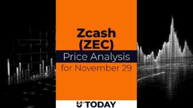 تحليل سعر Zcash (ZEC) في 29 نوفمبر: توقعات وتوقعات السوق