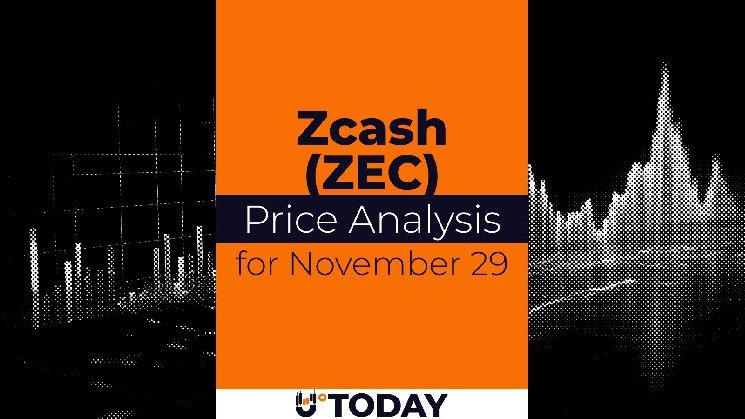 تحليل سعر Zcash (ZEC) في 29 نوفمبر: توقعات وتوقعات السوق