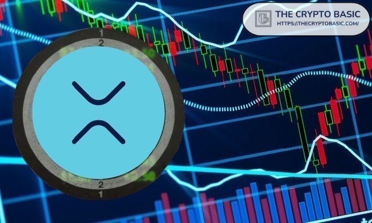 مليارات على وشك التدفق لشراء XRP.. وخبير: صدمة العرض لم تبدأ بعد