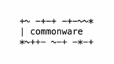 "كومون وير" تجذب استثماراً بقيمة 25 مليون دولار بجولة قادها "تمبو" المدعوم من "سترايب"