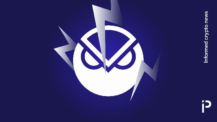 دي فاي تصبح أكثر رشاقة: غنوسيس تطرد مدير الخزينة بدعم 88%