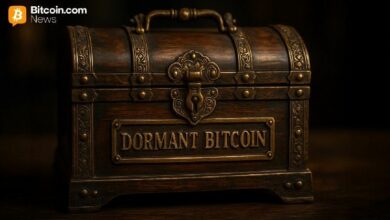 مليونو بيتكوين خامدة تعود للحياة: 4.6 مليون عملة تتحرك بعد صمت طويل في 2025