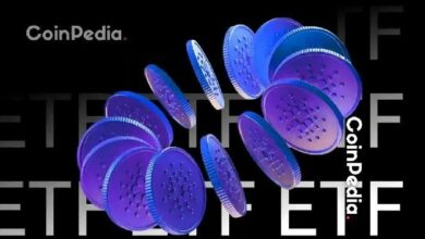 رئيس مؤسسة كاردانو يكشف موعد طرح صناديق ADA المتداولة (ETFs)