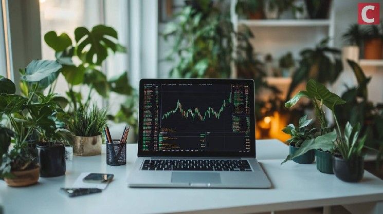 شركة SVRN المُدرجة في ناسداك تُعلن عن امتلاك 133 مليون دولار في خزائنها من عملة NEAR