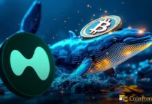 حوت هيبرليكيد يضخ 35 ألف عملة سولان ويواصل صفقته الصاعدة على البيتكوين بقيمة 29 مليون دولار