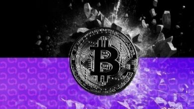 محكمة الاستئناف ترفض دعوة سجين يدعي خسارة 354 مليون دولار من البيتكوين