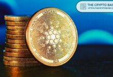 خبير يوضح درسًا رئيسيًا بعد خسارة مستخدم 14.4 مليون عملة أدا