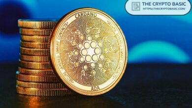 خبير يوضح درسًا رئيسيًا بعد خسارة مستخدم 14.4 مليون عملة أدا