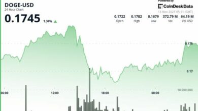 دوجكوين يختبر دعم المتوسط المتحرك الأسبوعي بينما يدفع الدببة لانخفاض 5%