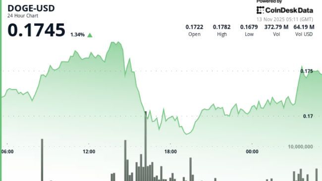 دوجكوين يختبر دعم المتوسط المتحرك الأسبوعي بينما يدفع الدببة لانخفاض 5%