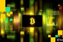 بيع البيتكوين تهيمن عليه محافظ منتصف الدورة بينما الحيتان الكبيرة تثبت على ممتلكاتها: VanEck