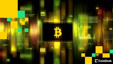 بيع البيتكوين تهيمن عليه محافظ منتصف الدورة بينما الحيتان الكبيرة تثبت على ممتلكاتها: VanEck