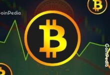 توقع سعر البيتكوين: هل يشهد ارتفاعًا صاروخيًا أم انهيارًا مدويًا؟
