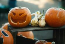 استعد: نهاية نوفمبر ستكون مفصلية لـ XRP وفقًا للرئيس التنفيذي