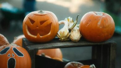 استعد: نهاية نوفمبر ستكون مفصلية لـ XRP وفقًا للرئيس التنفيذي