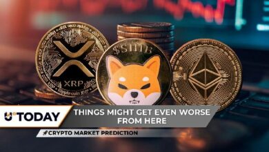 توقعات سوق العملات الرقمية: XRP يحقق قفزة هائلة، Shiba Inu (SHIB) يخفي إمكانية تعافٍ بنسبة 20%، هل سيتفوق الإيثيريوم (ETH) على البيتكوين؟