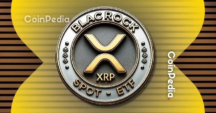 هل يطلق ريبل وبلاك روك تلميحات حول صندوق XRP ETF؟ ولماذا يهمك ذلك؟