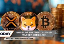 توقعات سوق العملات الرقمية: عودة سعر XRP بقوة، حرق عملة Shiba Inu (SHIB) يهوي إلى الصفر، ماذا لو بلغ سعر البيتكوين 111,700 دولار؟