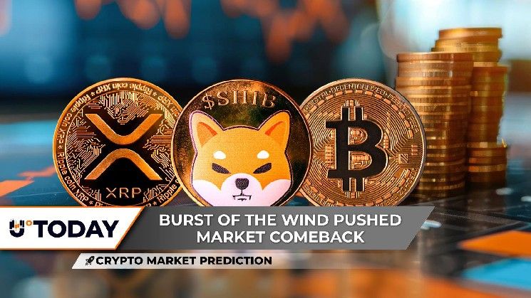 توقعات سوق العملات الرقمية: عودة سعر XRP بقوة، حرق عملة Shiba Inu (SHIB) يهوي إلى الصفر، ماذا لو بلغ سعر البيتكوين 111,700 دولار؟