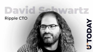 رد فعل كبير التقنيين في ريبل على دمج سولانا لـ XRP