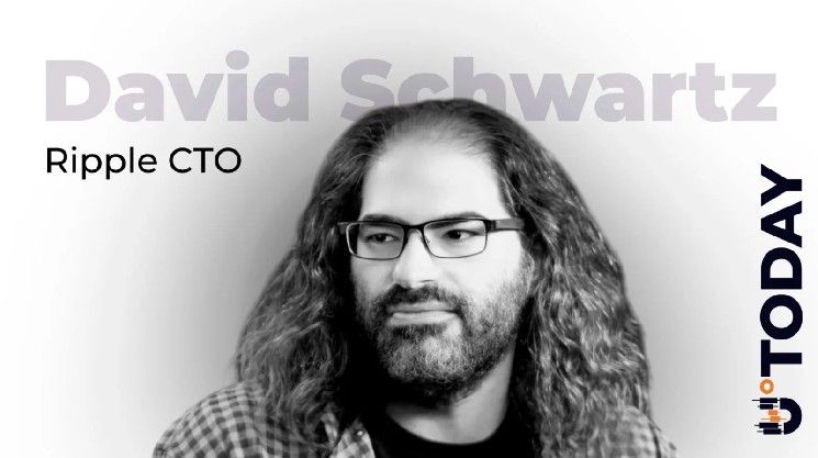 رد فعل كبير التقنيين في ريبل على دمج سولانا لـ XRP