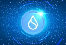 Sui تستضيف WBTC الأصلي لتعزيز السيولة العابرة للسلاسل بسرعة فائقة